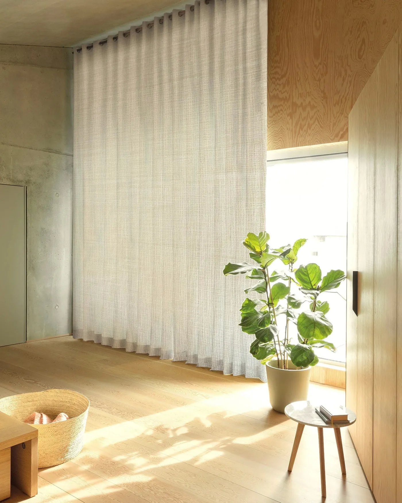 Zepel Pampas Bamboo curtain fabric beside an indoor plant